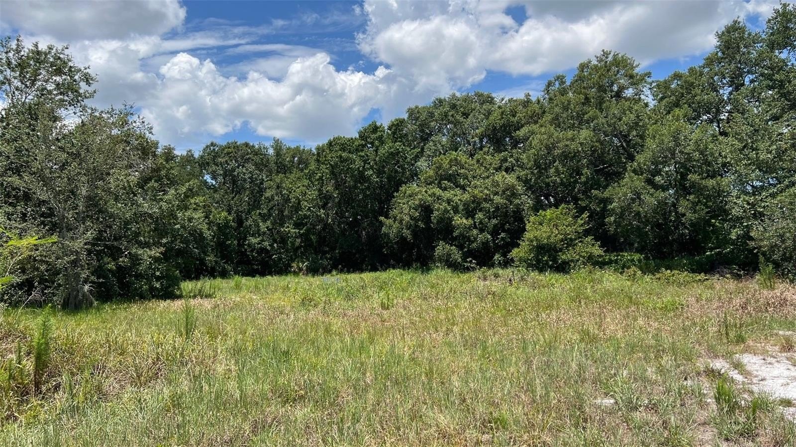 AUBURNDALE, Florida, 33823, United States, ,Land,For Sale,1977523