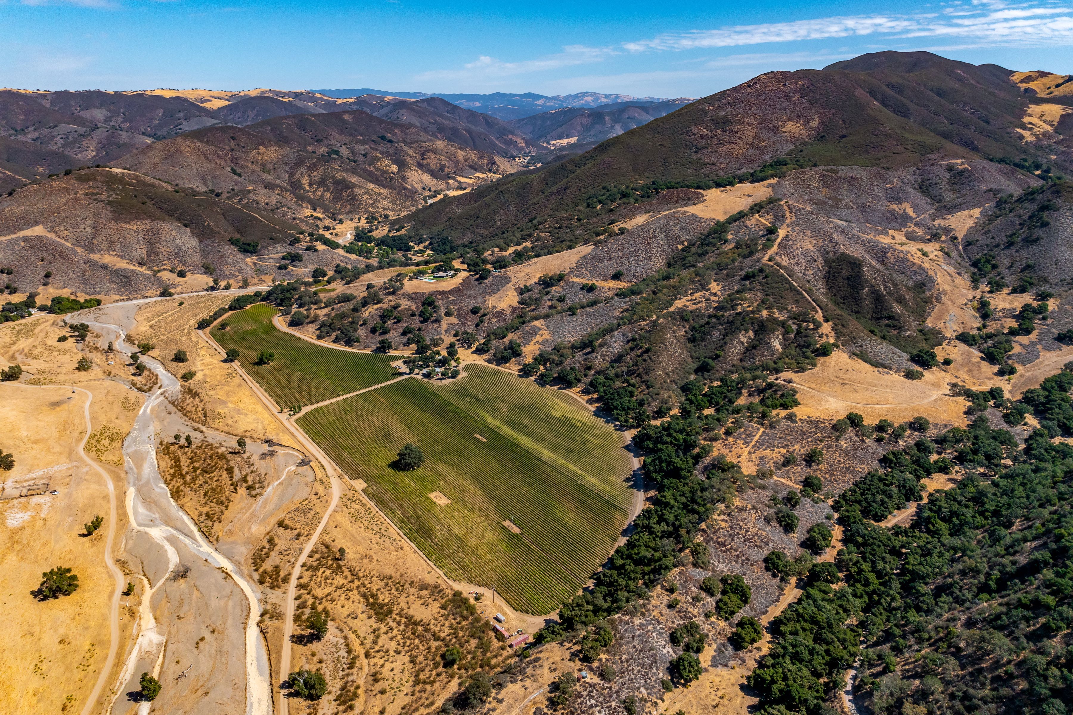  Extraordinary Vineyard Estate - 物件實景
