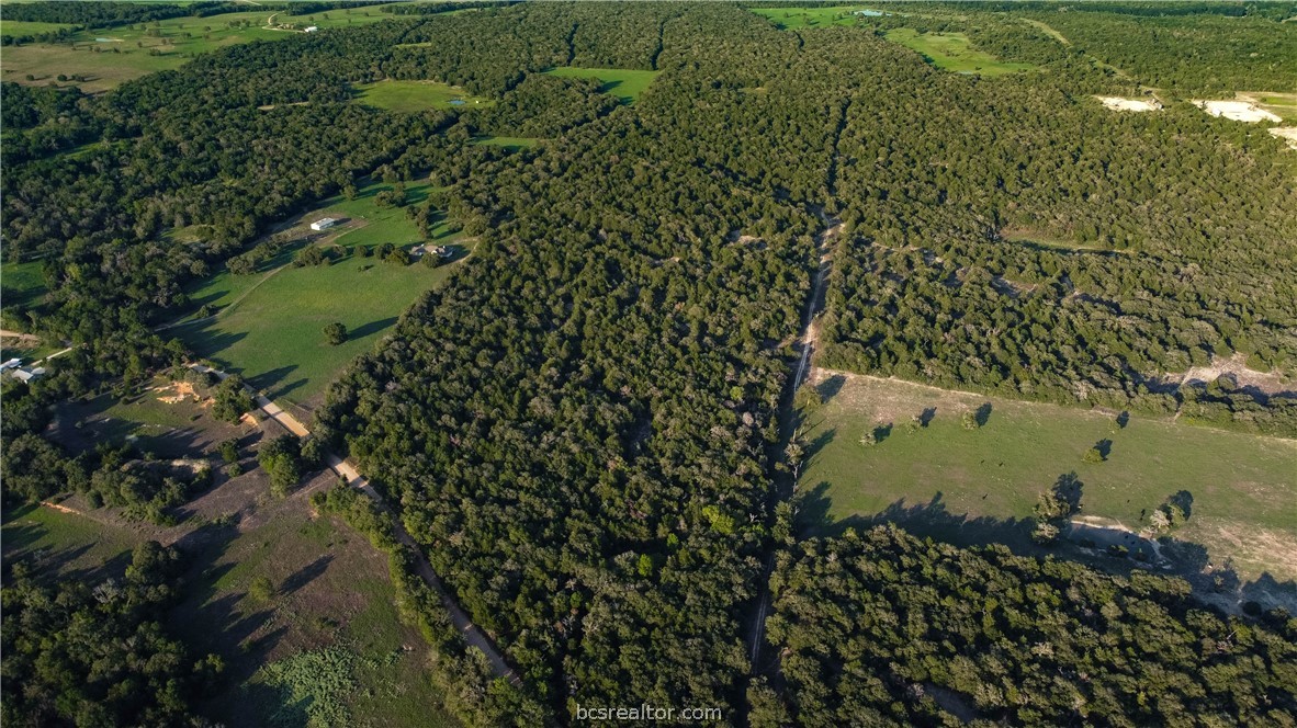 5632 County Road 317, Caldwell, Texas, 77836, United States, ,Land,For Sale,5632 County Road 317,1609859