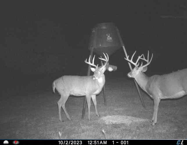 Goldsby, Oklahoma, 73093, United States, ,Land,For Sale,1976317