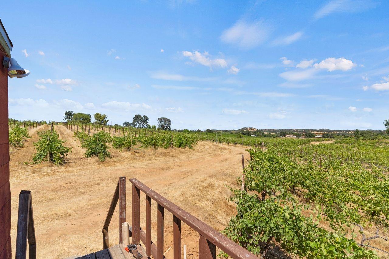 21226 Dickson Road, Plymouth, California, 95669, United States, ,Land,For Sale,21226 Dickson Road,1672447