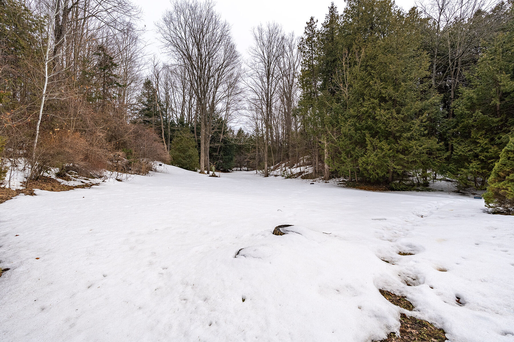  Coveted Caledon Enclave - 物件實景