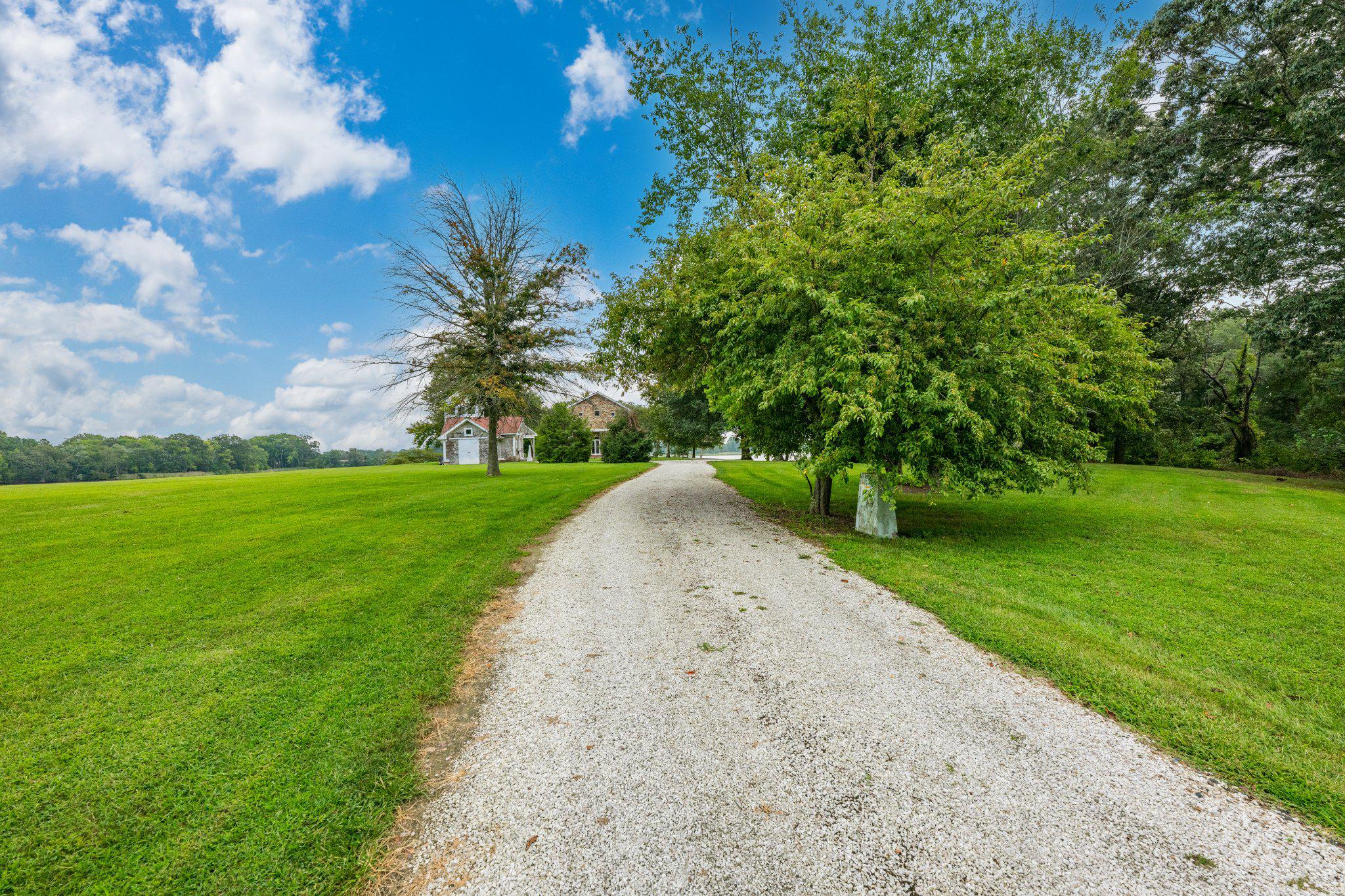  491 Wye Island Road, Queenstown, MD, 21658 - 物件實景