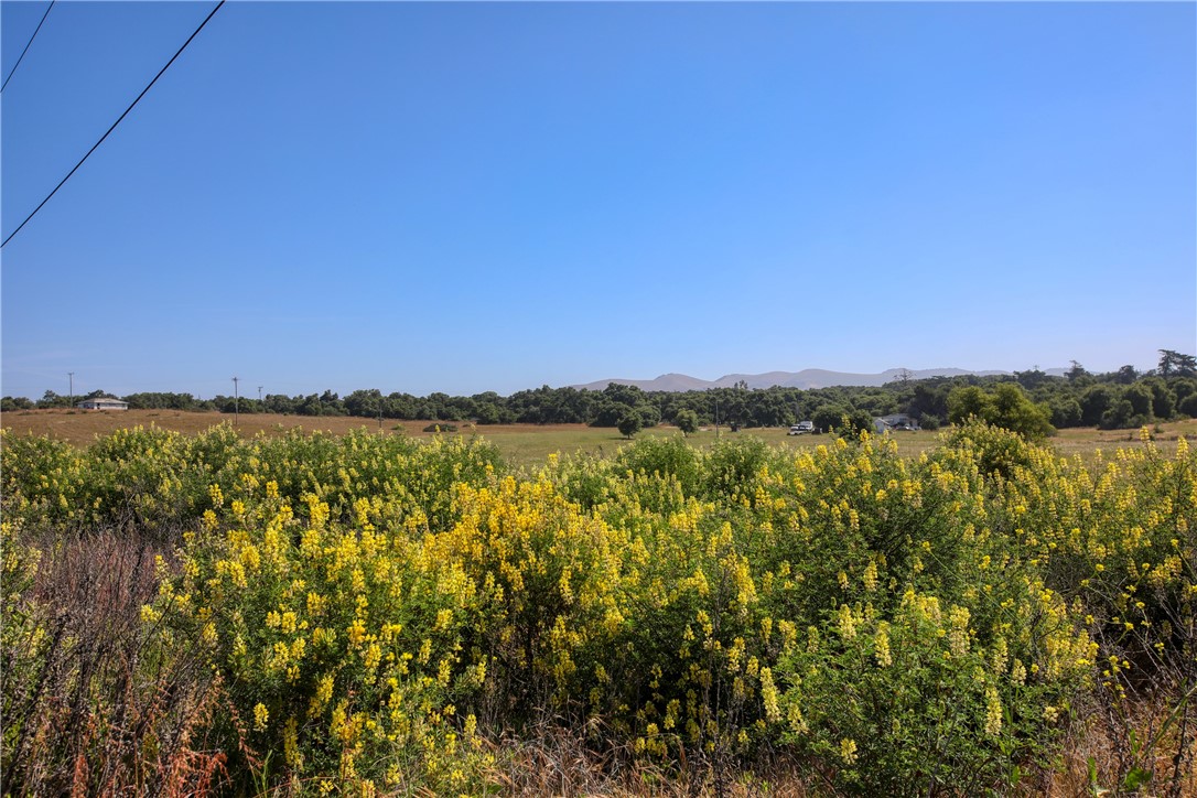 Arroyo Grande, California, 93420, United States, ,Land,For Sale,2010414