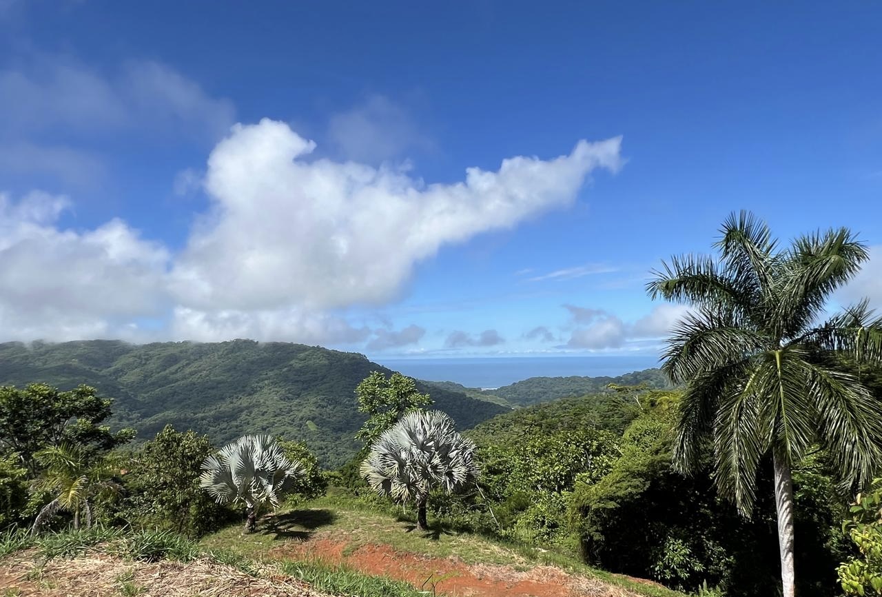 Dominical, Puntarenas, CR, 2 Bedrooms Bedrooms, ,2 BathroomsBathrooms,Residential,For Sale,1671731