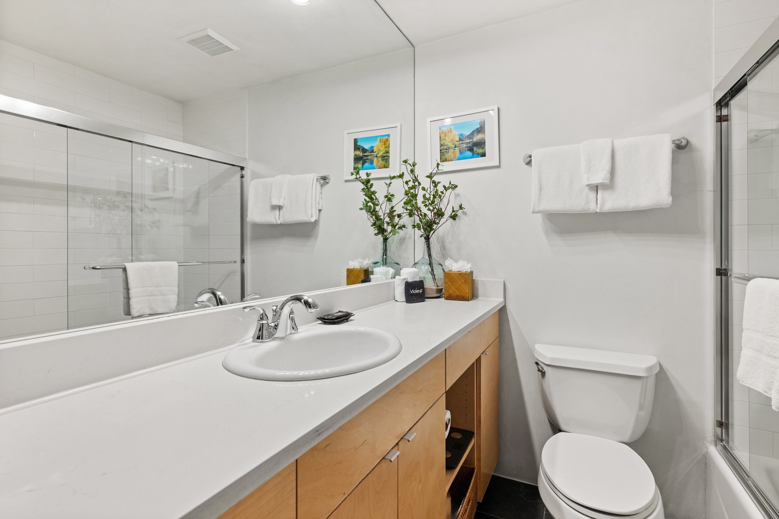  910 W Hallam Street, Aspen, CO, 81611 - 物件實景