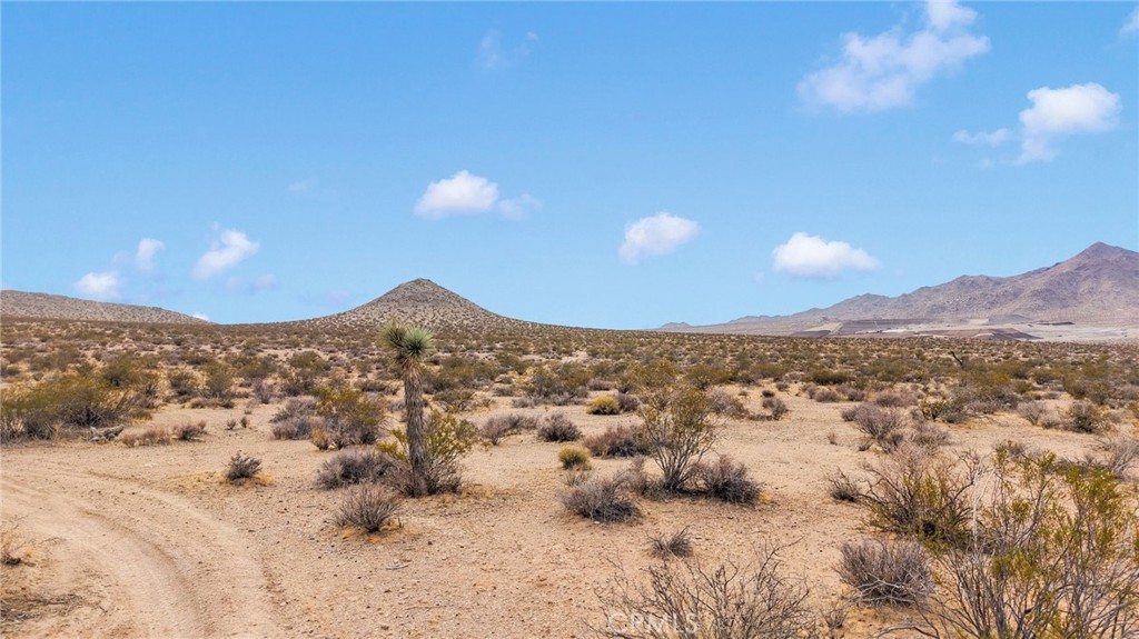 Apple Valley, California, 92307, United States, ,Land,For Sale,1980354