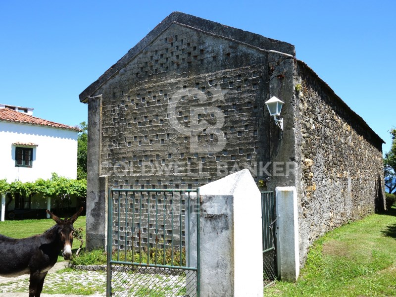 A Coru?a, Oleiros, Dexo-Lorb?, Lorb? A Coru?a, Ole, Oleiros, Galicia, ES, 5 Bedrooms Bedrooms, ,3 BathroomsBathrooms,Residential,For Sale,A Coru?a, Oleiros, Dexo-Lorb?, Lorb? A Coru?a, Ole,1449015