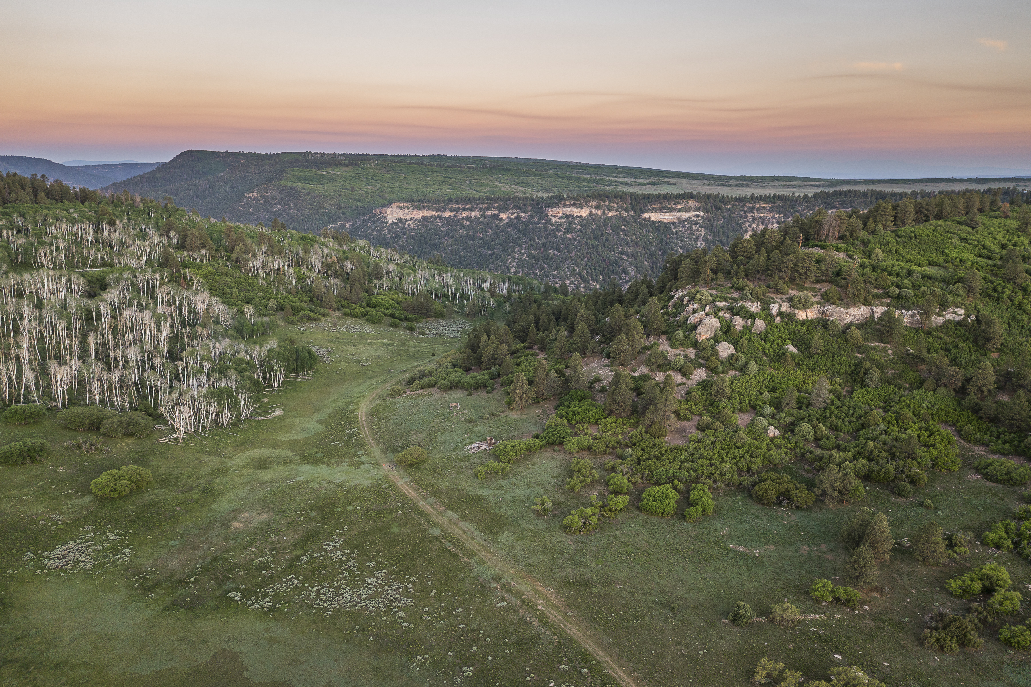  Telluride Renegade Ranch - 602 acres on Hastings Mesa - 物件實景