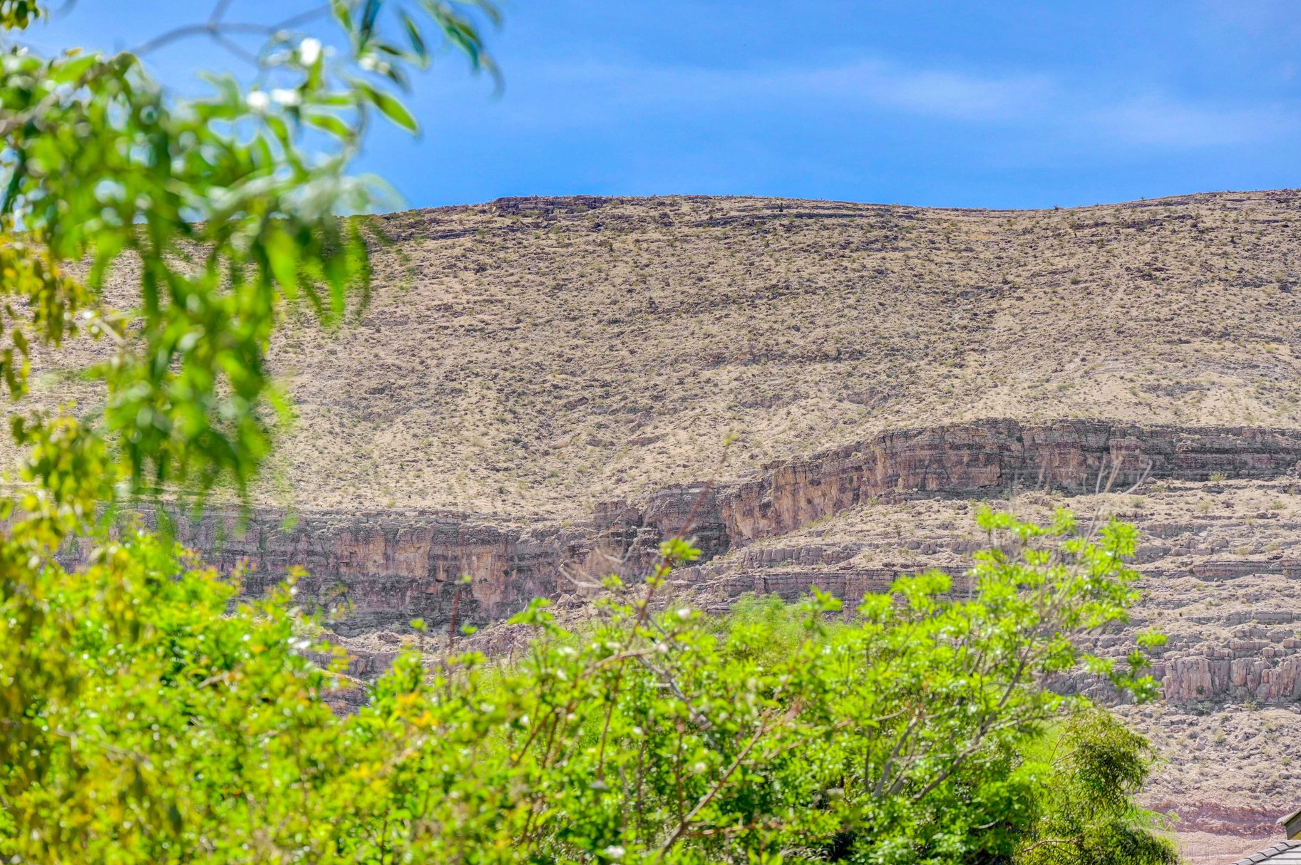  New to Market - 物件實景