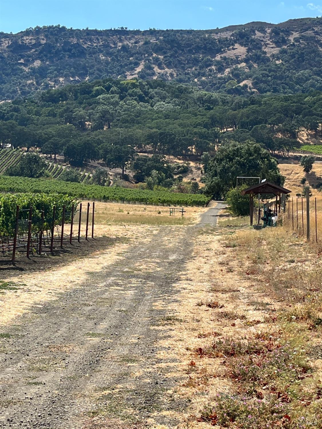 Napa, California, 94558, United States, 3 Bedrooms Bedrooms, ,3 BathroomsBathrooms,Residential,For Sale,1991897