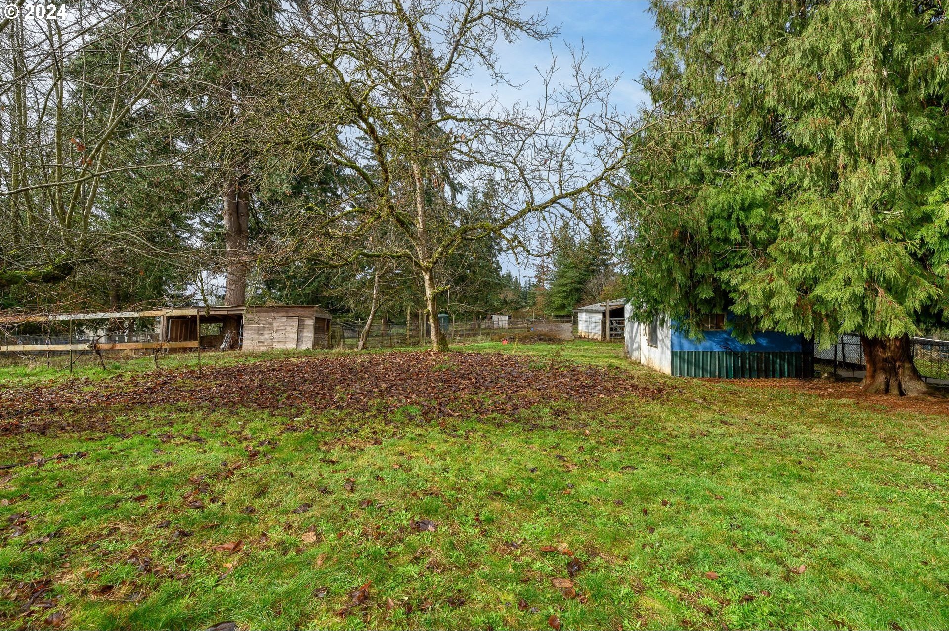 35267 S ACER LN, Molalla, Oregon, 97038, United States, 3 Bedrooms Bedrooms, ,2 BathroomsBathrooms,Residential,For Sale,35267 S ACER LN,1675440