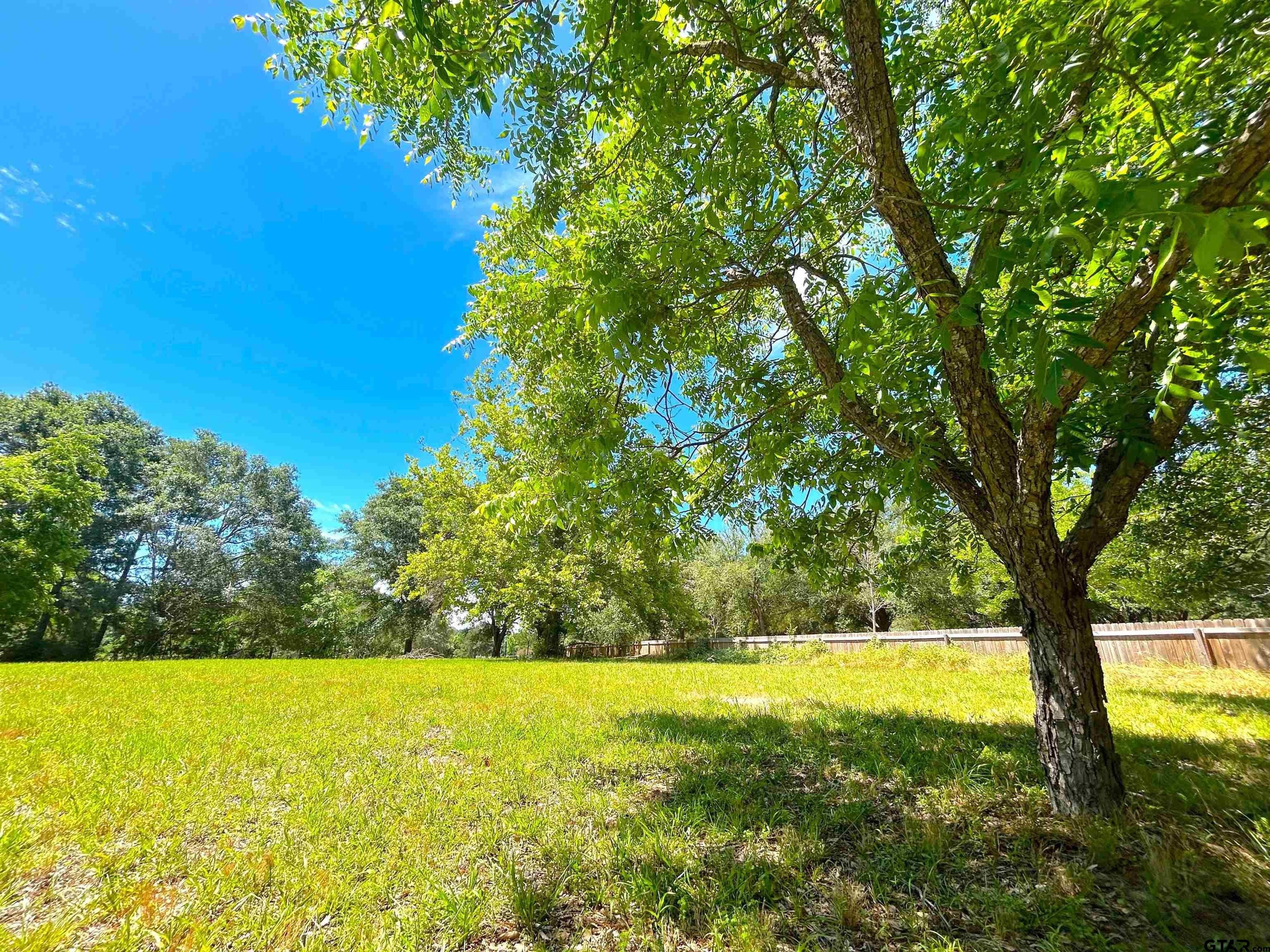 Frankston, Texas, 75763, United States, 3 Bedrooms Bedrooms, ,2 BathroomsBathrooms,Residential,For Sale,1924553