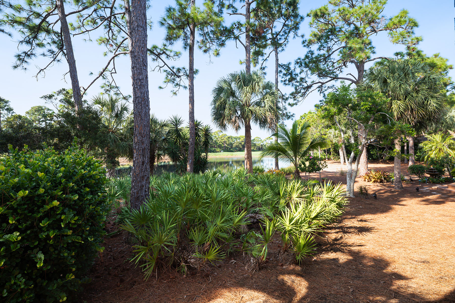  COLLIERS RESERVE - 物件實景