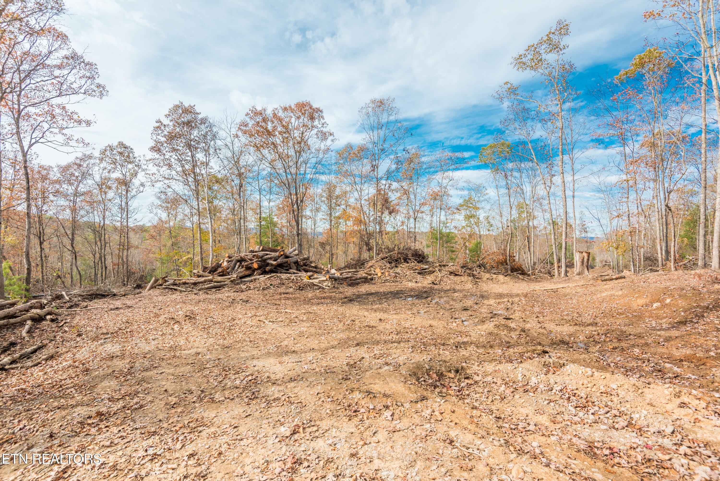 Rockwood, Tennessee, 37854, United States, ,Land,For Sale,1806468