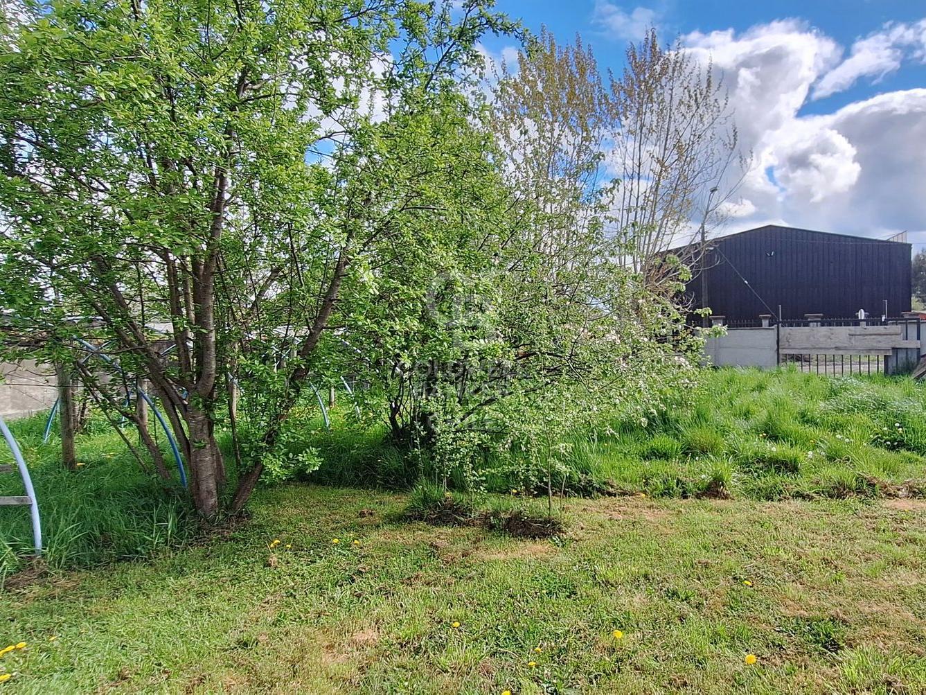 Osorno, Chile, 3 Bedrooms Bedrooms, ,2 BathroomsBathrooms,Residential,For Sale,1991545