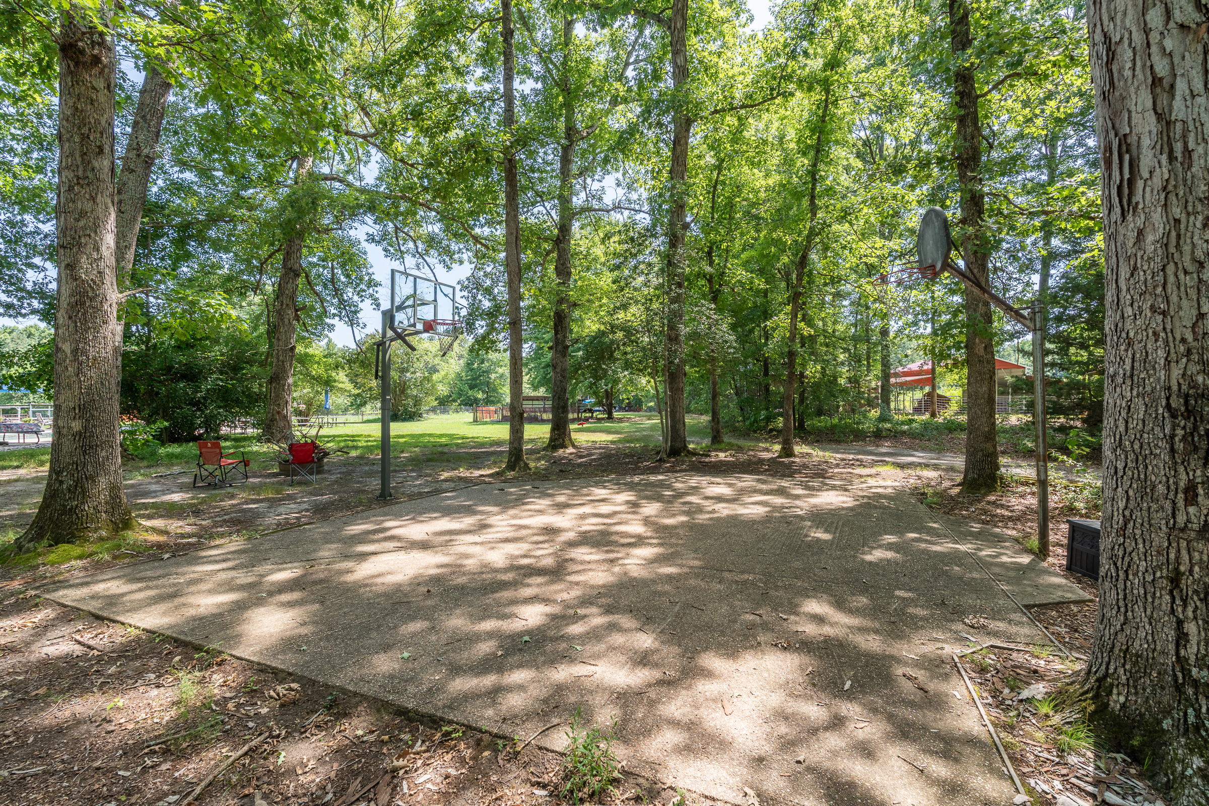  12289 Cedar Lane, Hanover, VA 23005 - 物件實景