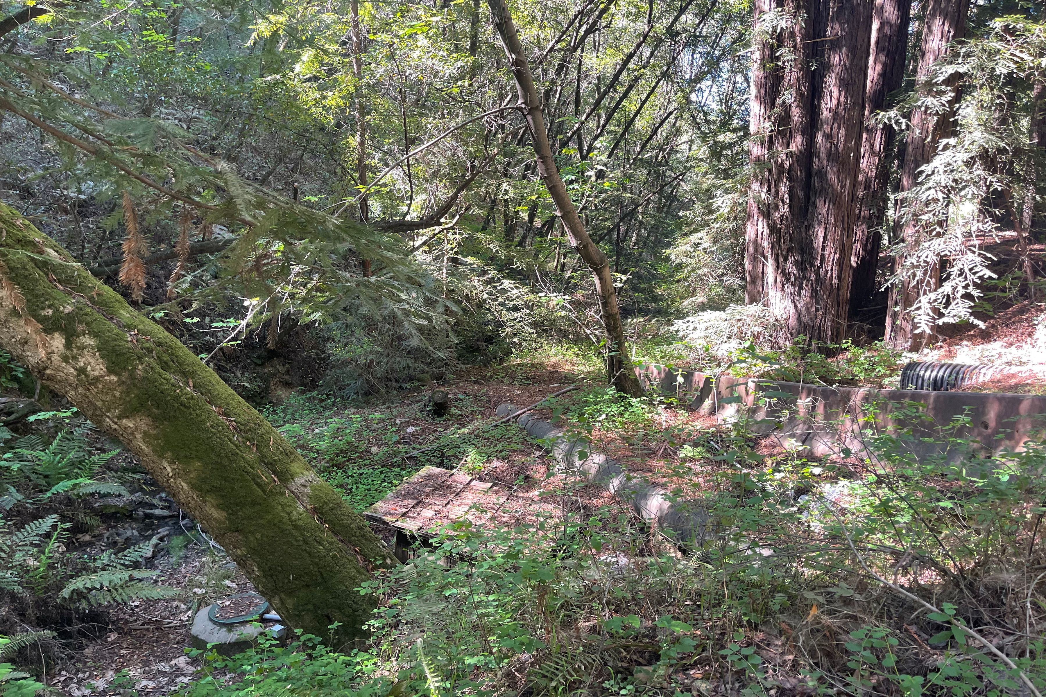  0 Sycamore Cyn Road - 物件實景