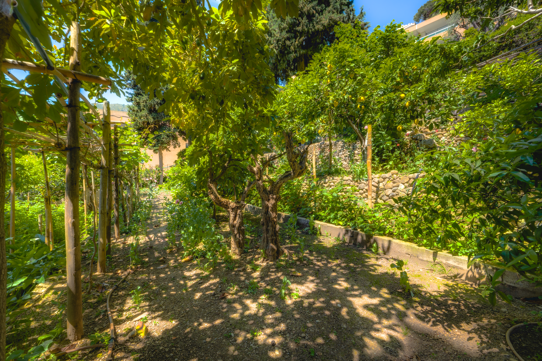  1720 Historic Villa, panoramic Monaco views, lush gardens - Roquebrune-Cap-Mart… - 物件實景
