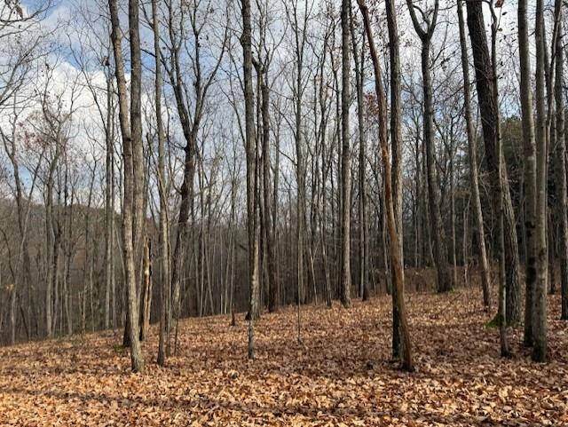 Talking Rock, Georgia, 30175, United States, ,Land,For Sale,1995157