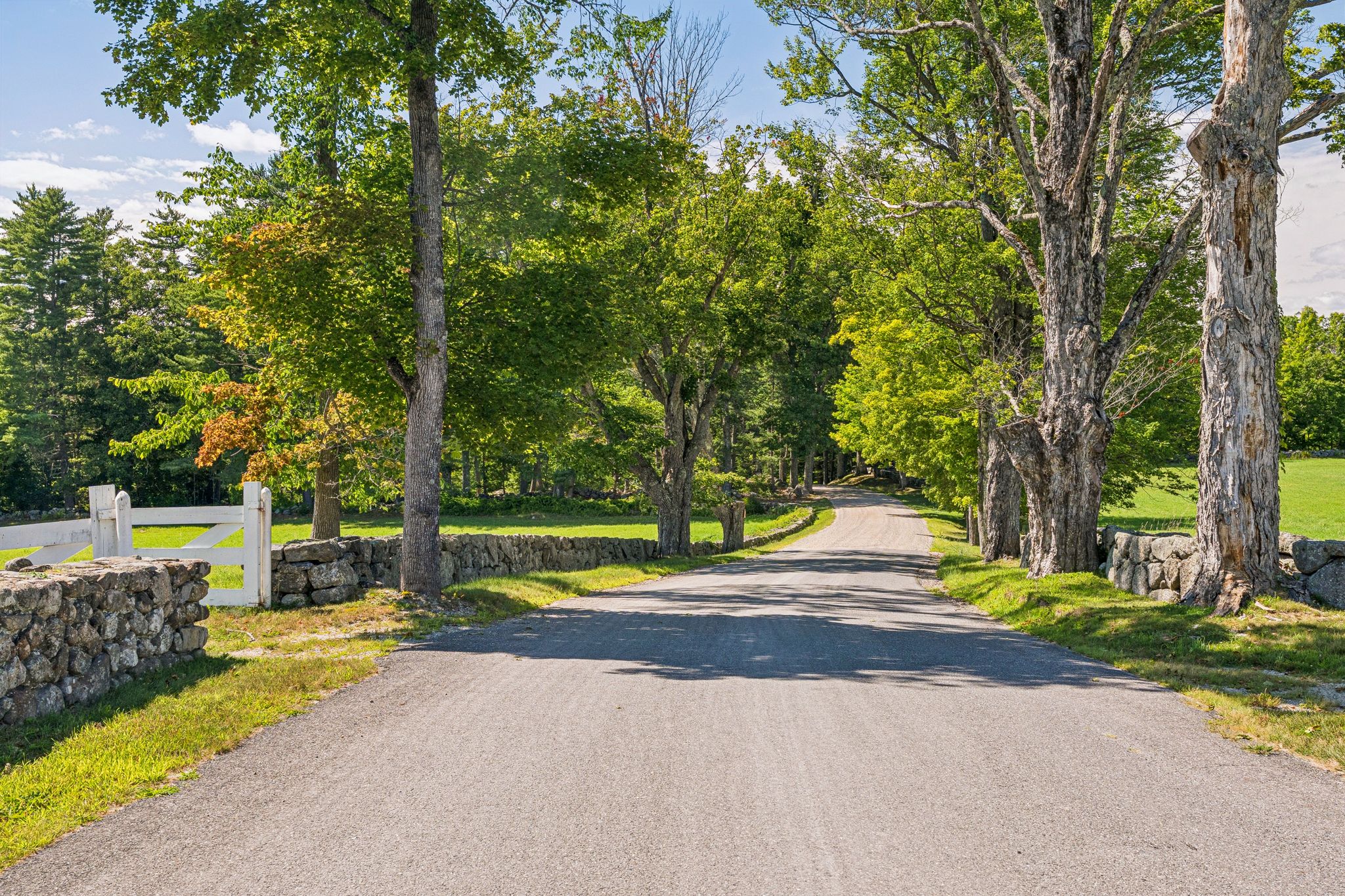  92,94,96,9 Pierce Hill Road - 物件實景