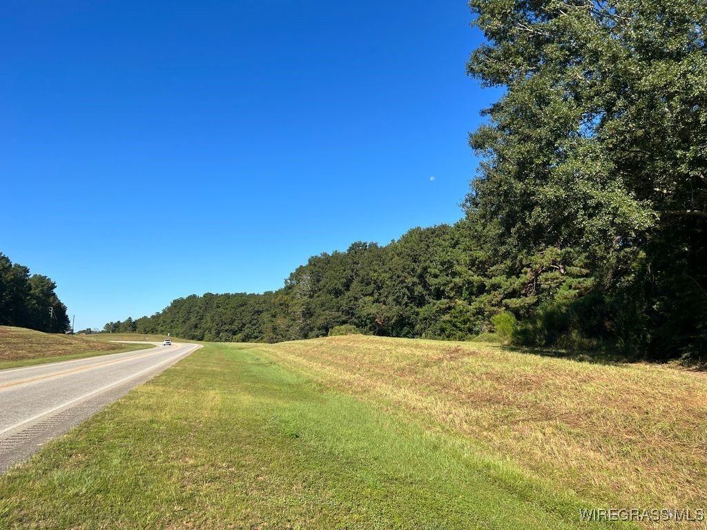 Enterprise, Alabama, 36330, United States, ,Land,For Sale,1979580