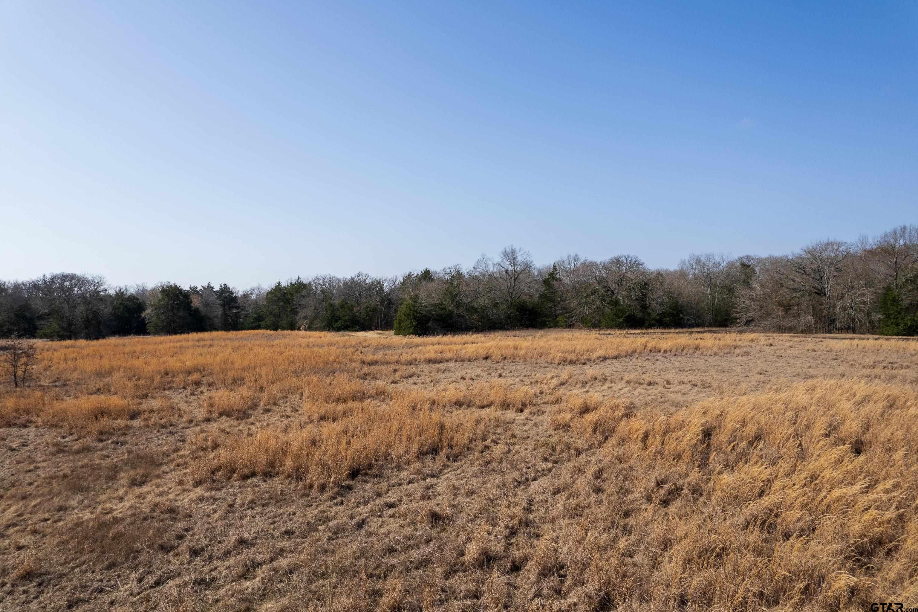 Cumby, Texas, 75433, United States, ,Land,For Sale,1974117