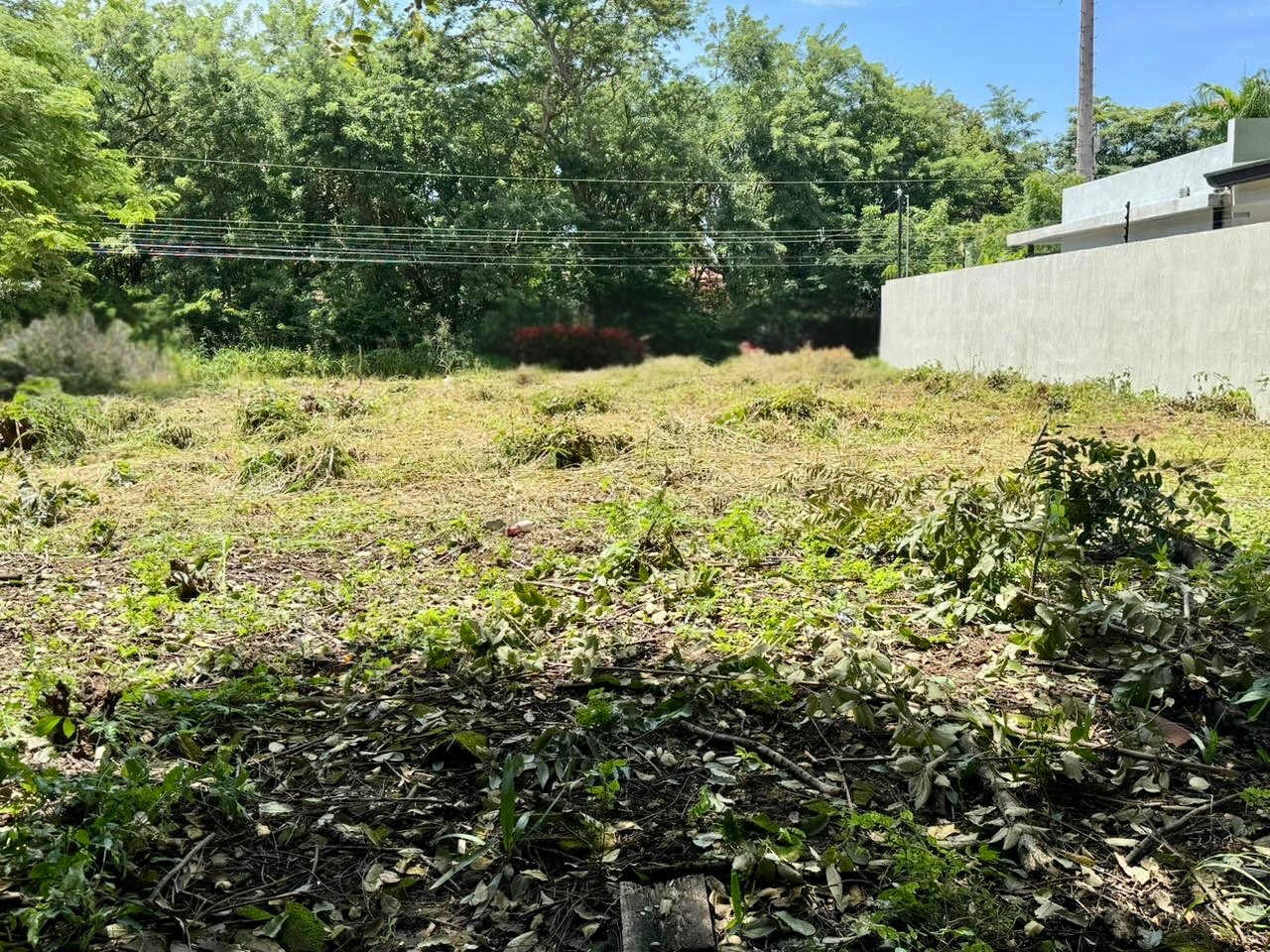 Langosta, Guanacaste, CR, ,Land,For Sale,1912110