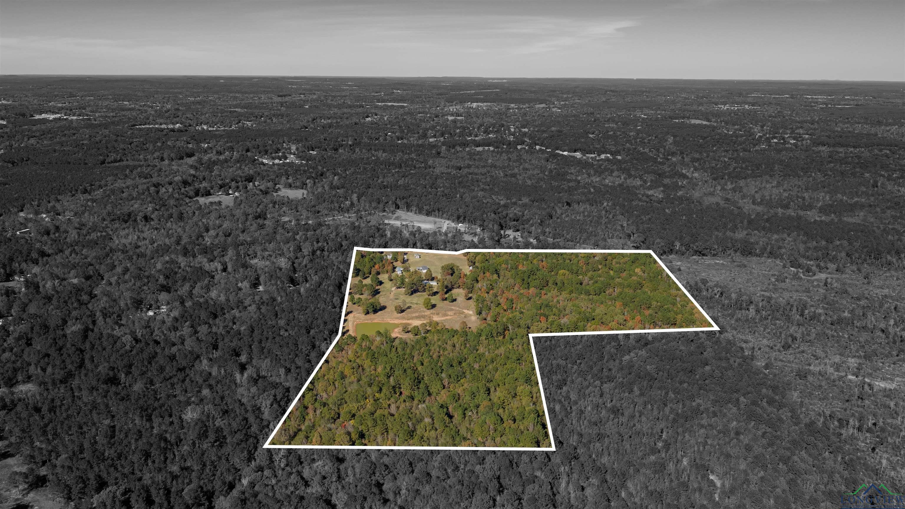 Diana, Texas, 75640, United States, ,Residential,For Sale,1993396