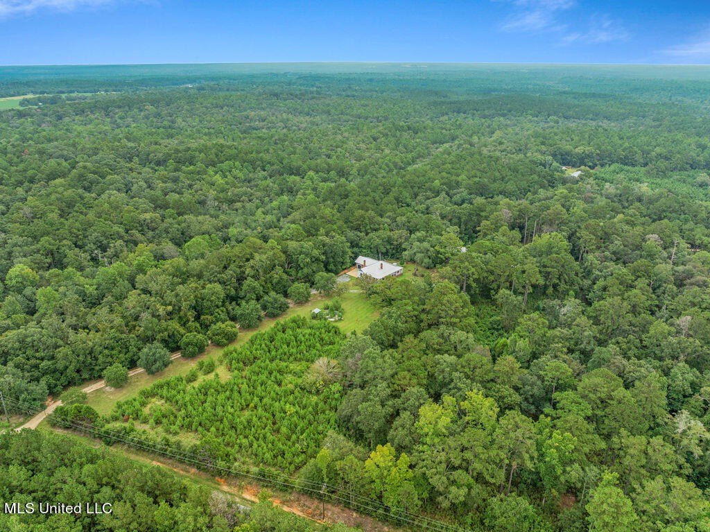 Lucedale, Mississippi, 39452, United States, 3 Bedrooms Bedrooms, ,3 BathroomsBathrooms,Residential,For Sale,1975662