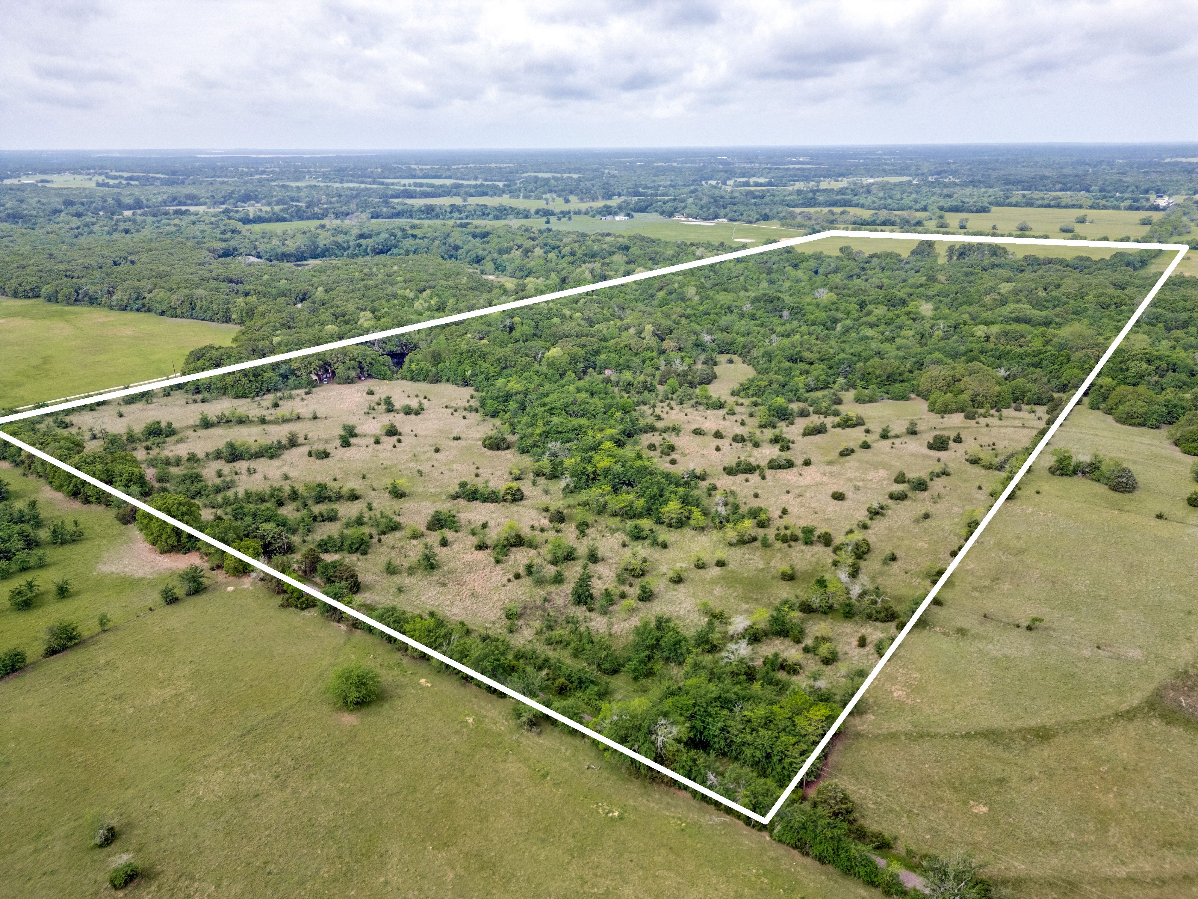  78 Acres in Sulphur Springs - 物件實景