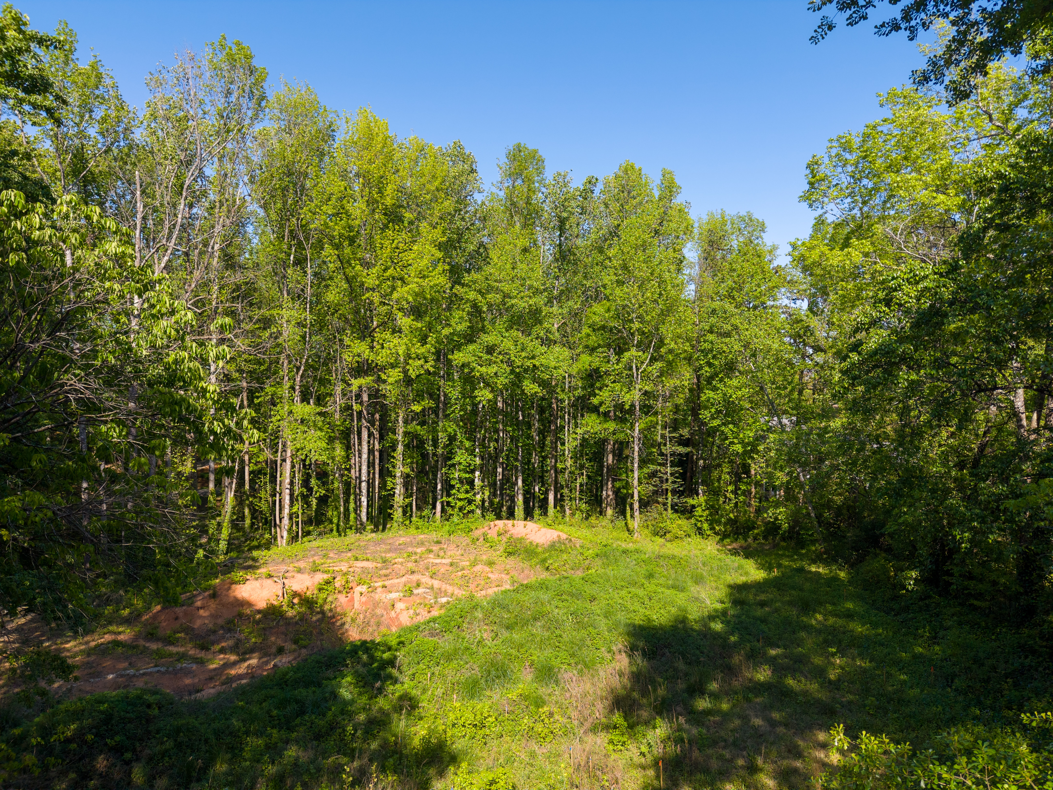  6 Stratton Place, Greenville, SC 29615 - 物件實景