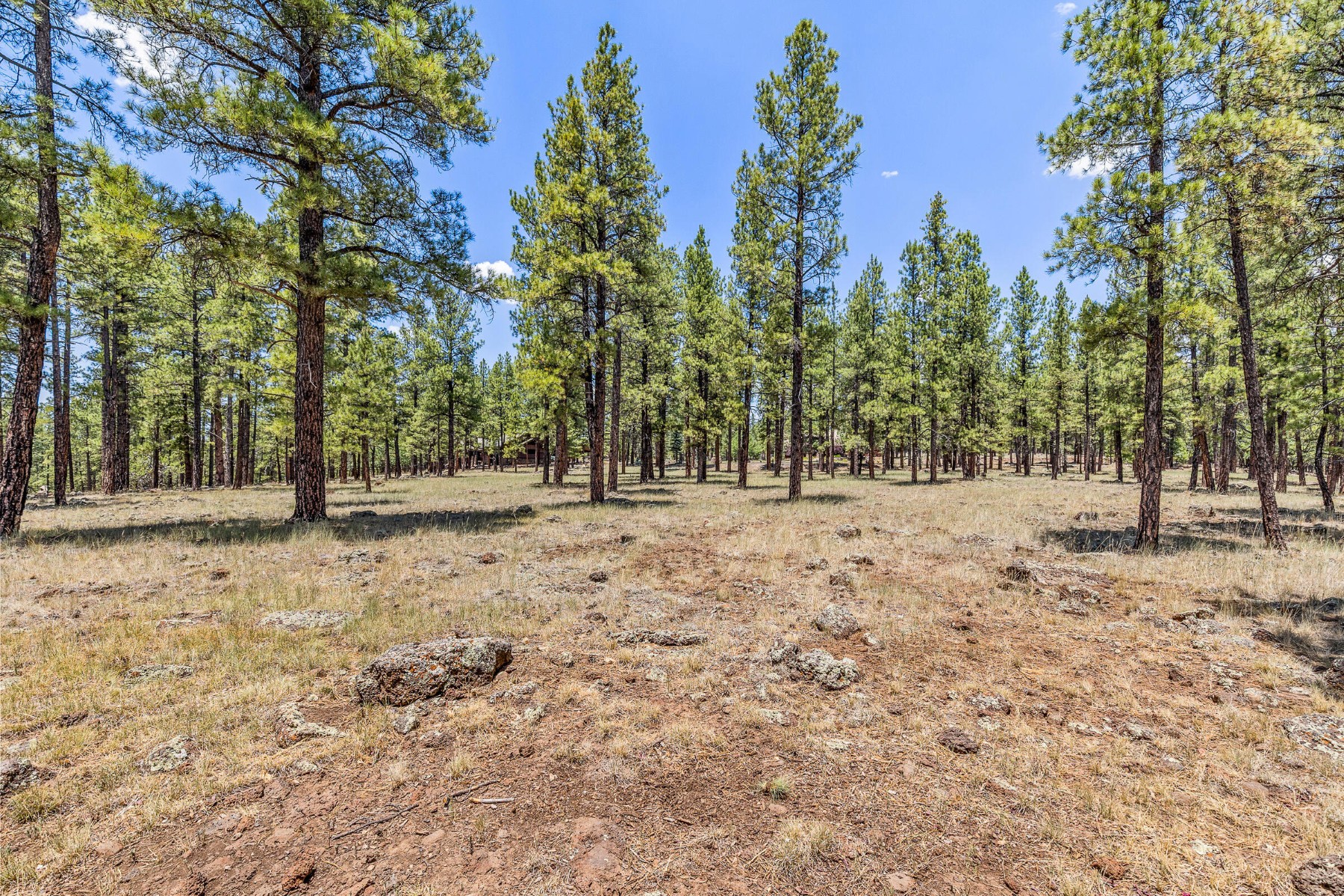  2901 Creekside Drive ¦ Flagstaff, AZ - 物件實景