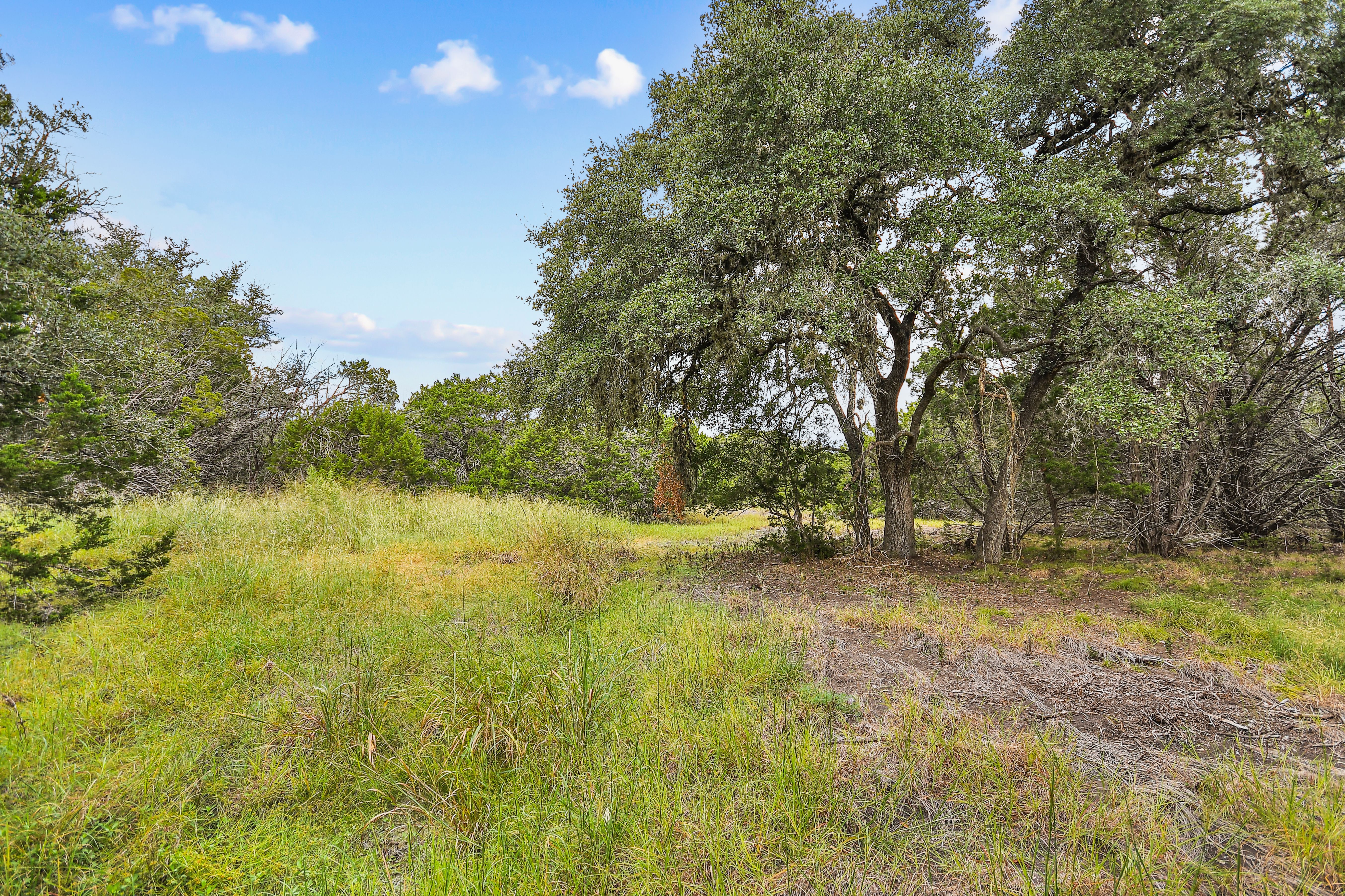  TBD Hwy 46 / Madrona Ranch Road, Pipe Creek, TX 78063 - 物件實景