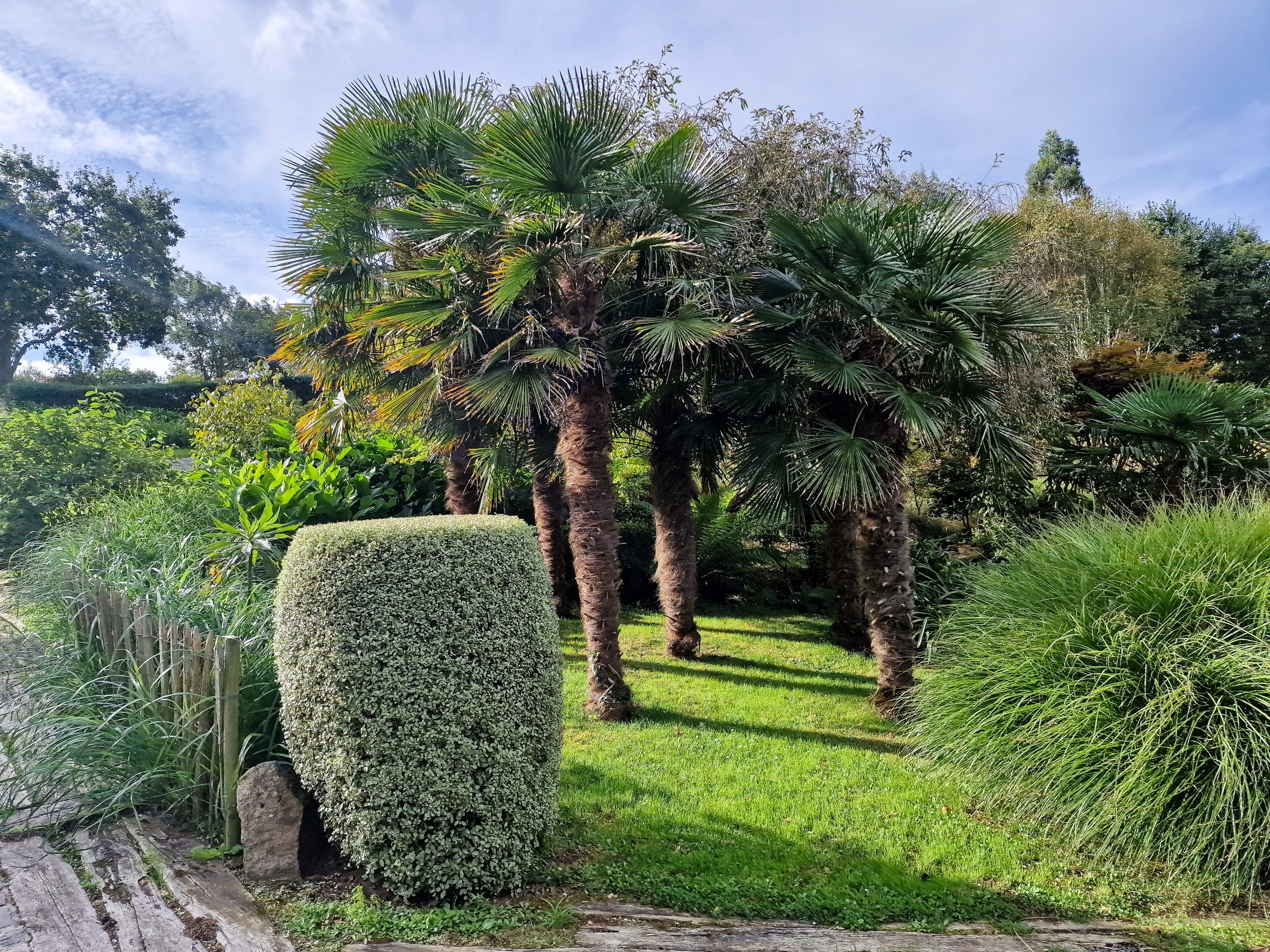  Marvellous property with a 5 acres park overlooking the sea bewteen Buguélès an… - 物件實景