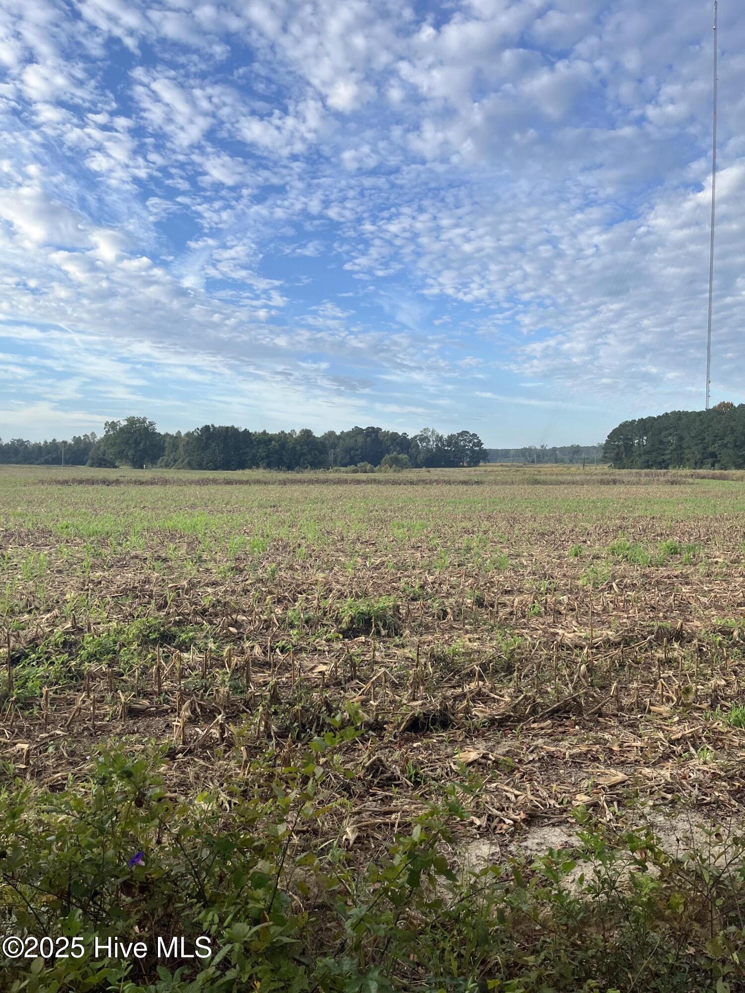 Trenton, North Carolina, 28585, United States, ,Land,For Sale,1963852