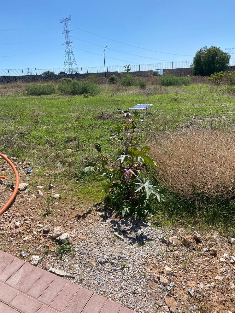 Corregidora, Querétaro, 76926, Mexico, 1 Bedroom Bedrooms, ,Residential,For Sale,1739127
