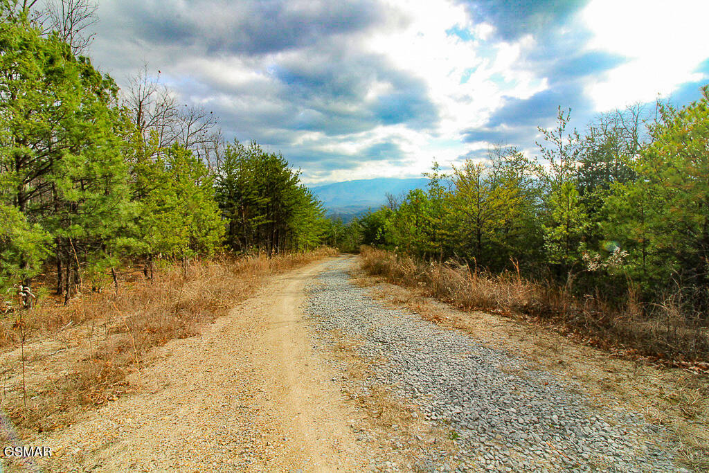 Sevierville, Tennessee, 37876, United States, ,Land,For Sale,2009102