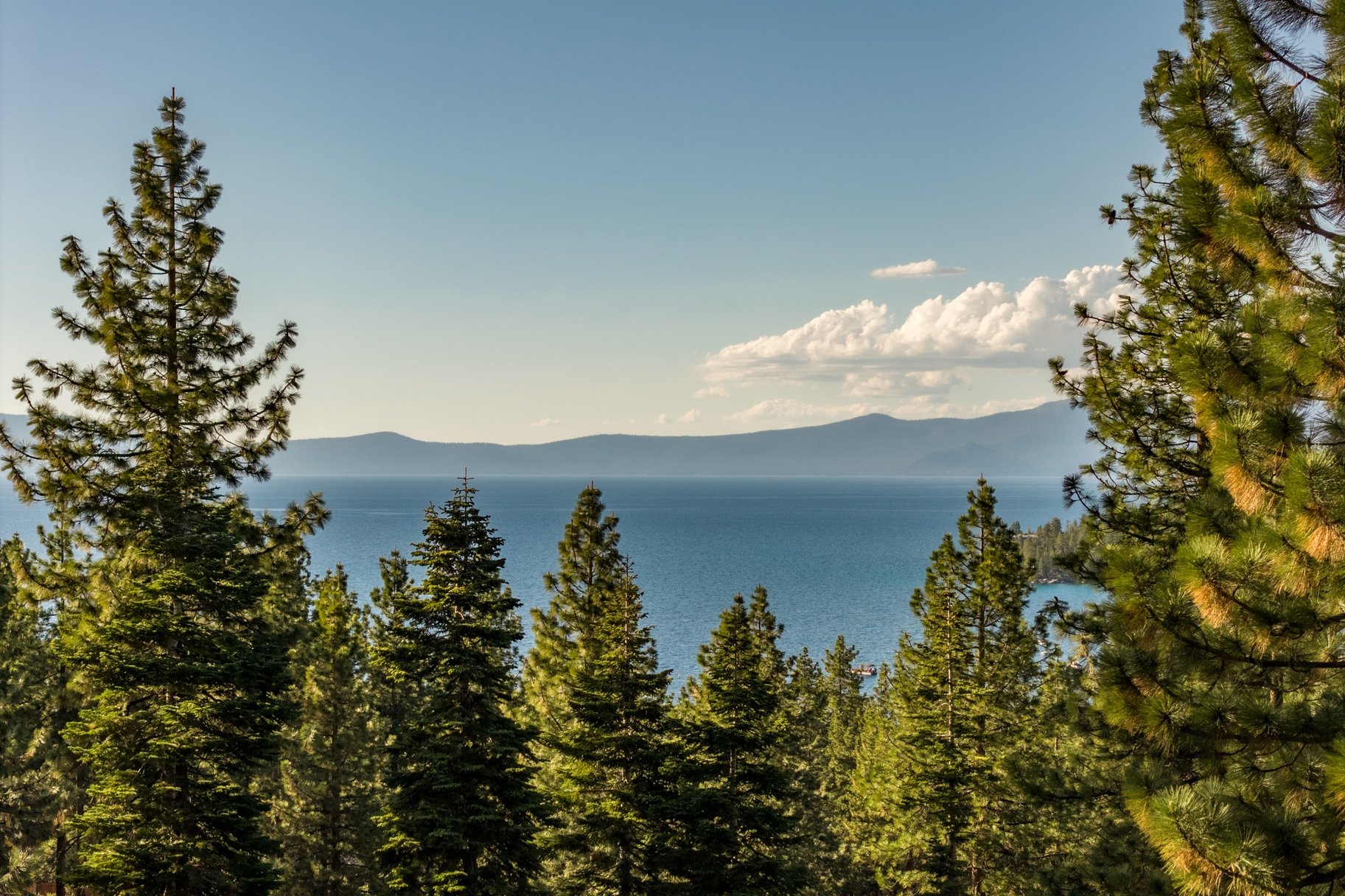  Lake Views on Sleepy Hollow - 物件實景
