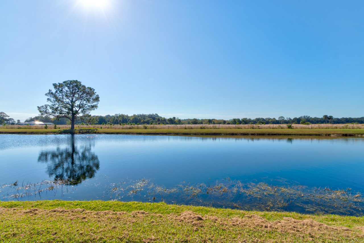 Port Orange, Florida, 32128, United States, 4 Bedrooms Bedrooms, ,2 BathroomsBathrooms,Residential,For Sale,1987397