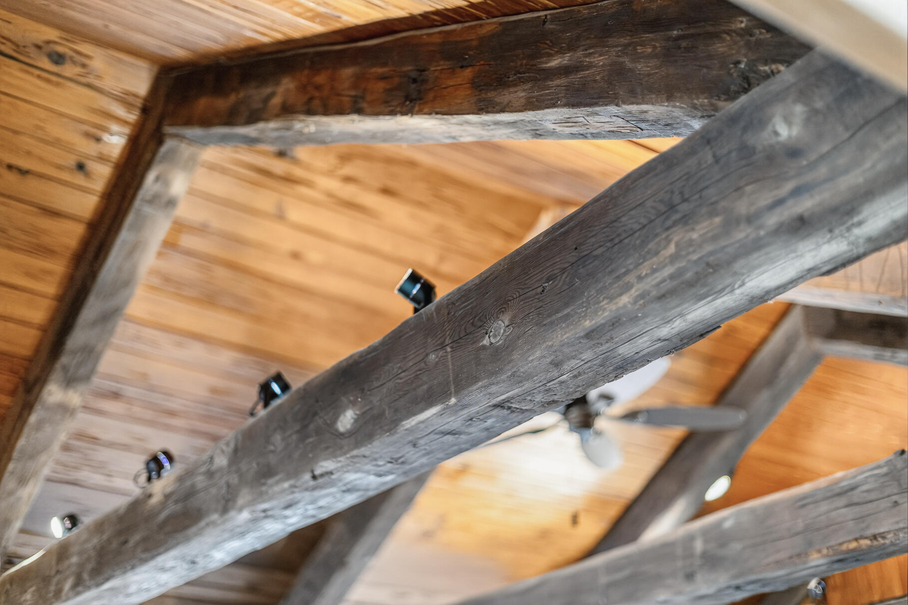  299 Main Street - 物件實景