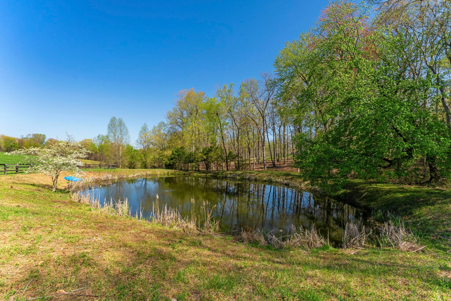  Jonesborough Farm - 物件實景