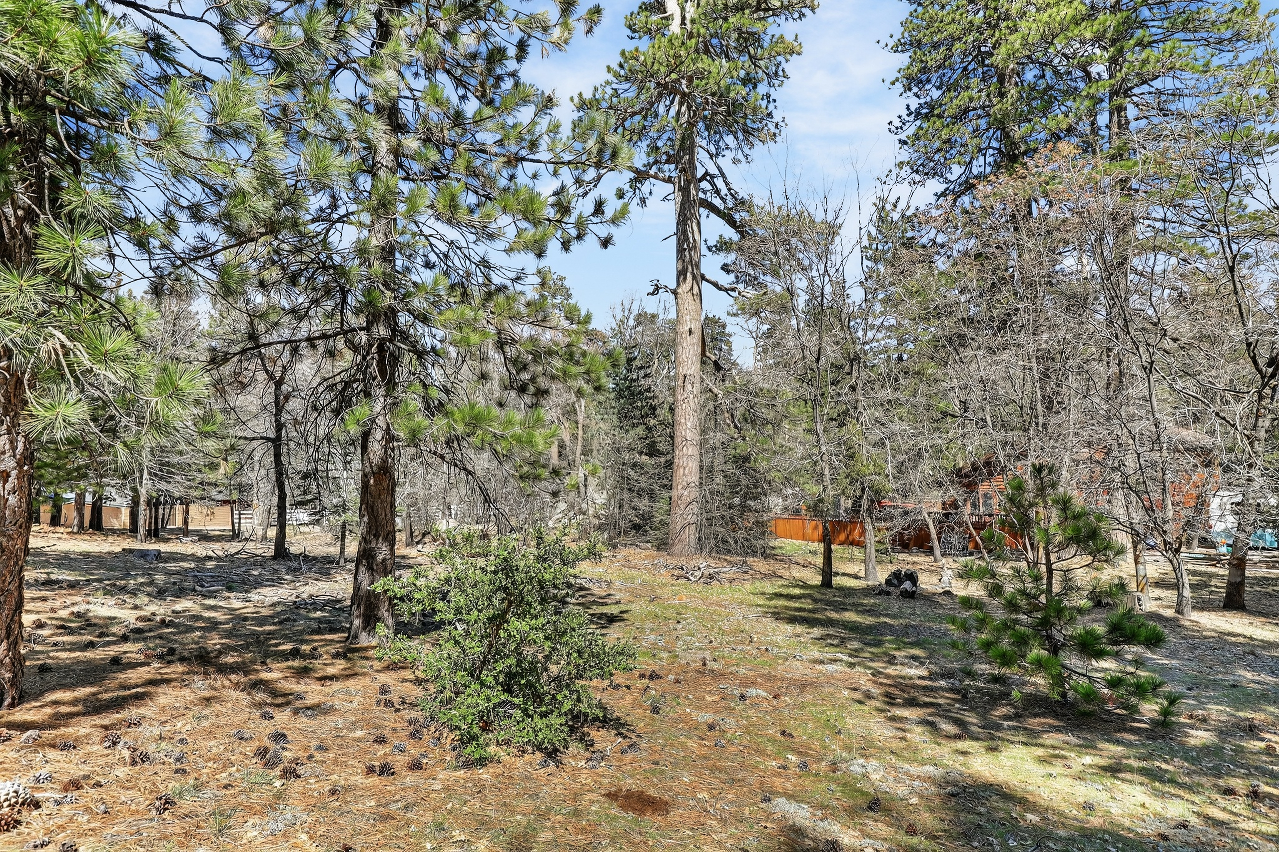  0 Cepu Rd, Running Springs , CA 92382 - 物件實景