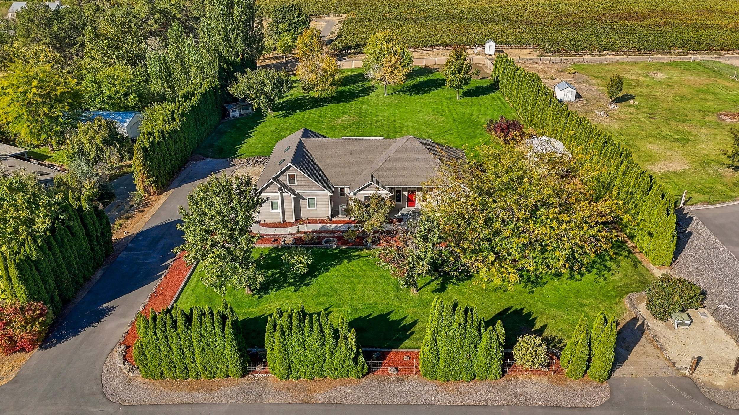  1.25 acres w vineyard views/mountain custom home - 物件實景