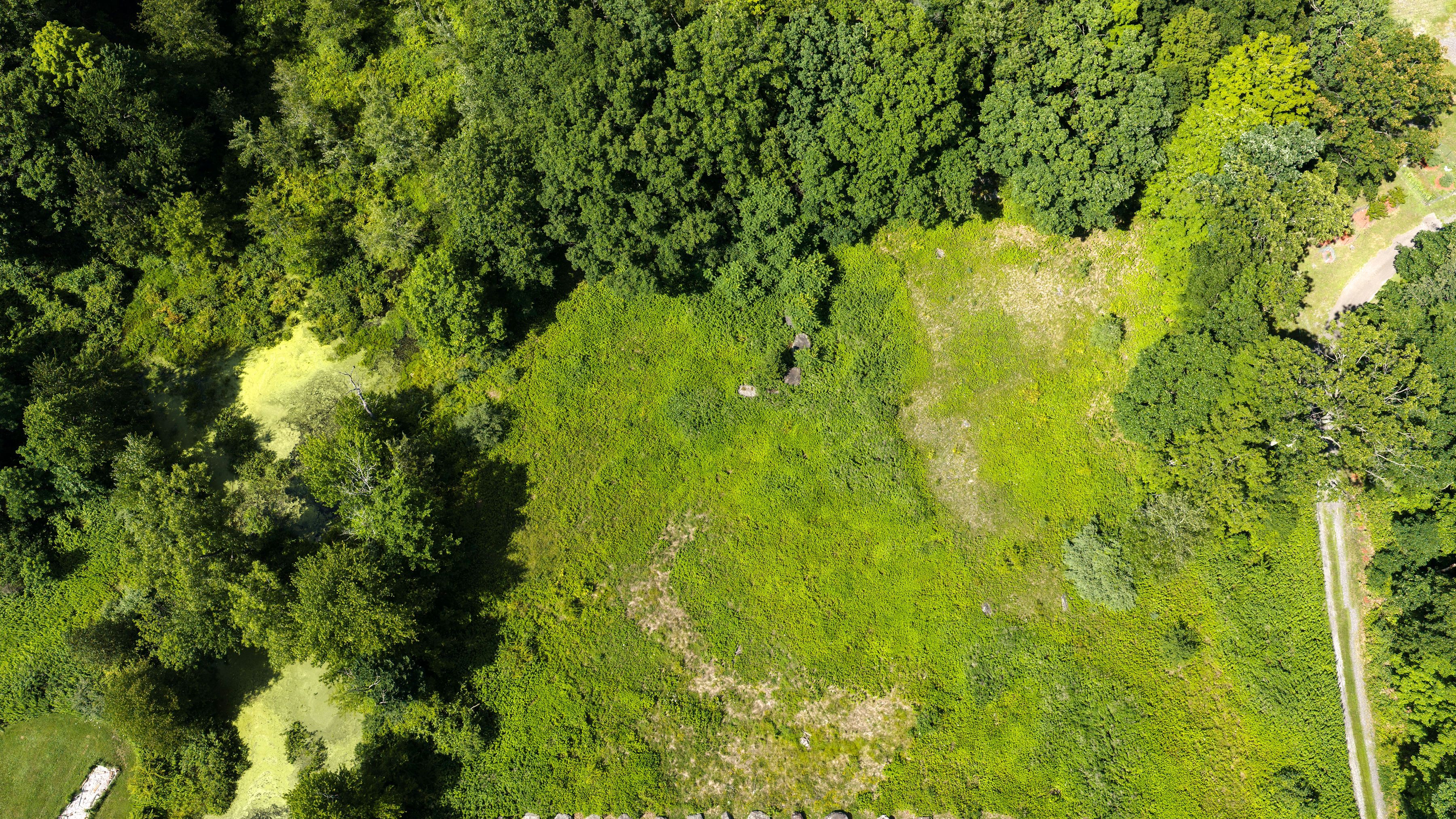  19 Spruce Street, Highland, NY 12528 - 物件實景