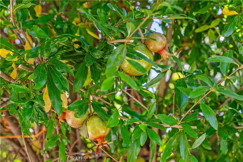 Irvine, California, 92620, United States, 4 Bedrooms Bedrooms, ,3 BathroomsBathrooms,Residential,For Sale,1991860