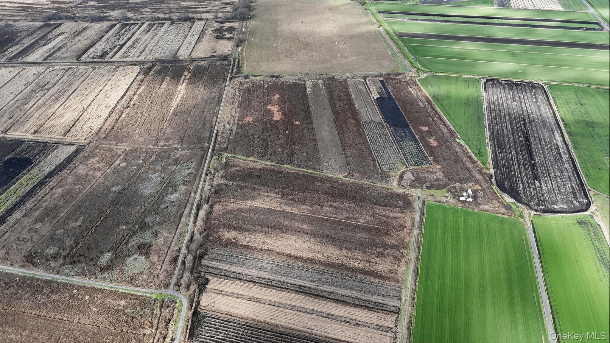 Pine Island, New York, 10969, United States, 3 Bedrooms Bedrooms, ,2 BathroomsBathrooms,Residential,For Sale,1988857