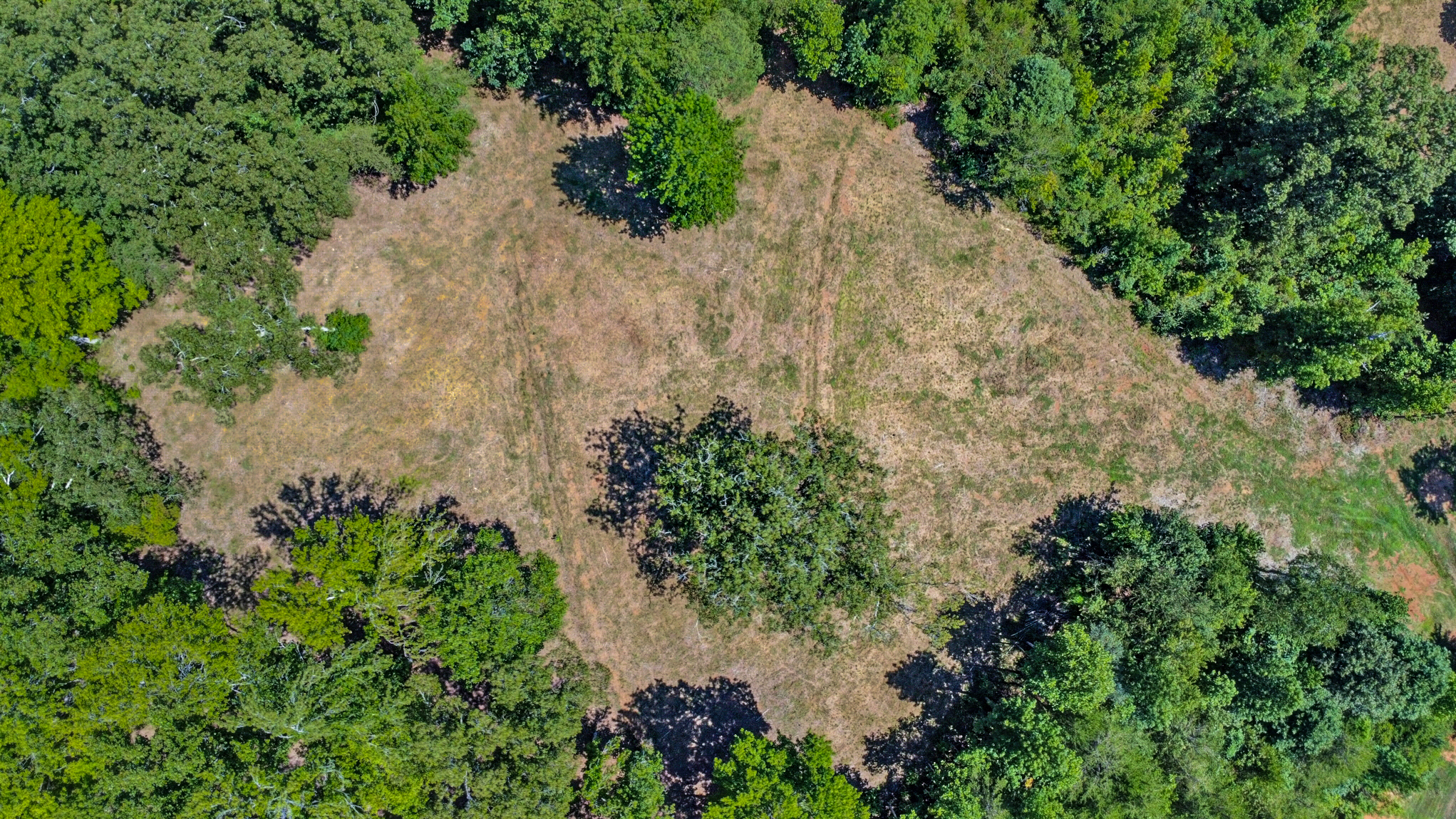 Rockwood, Tennessee, 37854, United States, 4 Bedrooms Bedrooms, ,3 BathroomsBathrooms,Residential,For Sale,2011403