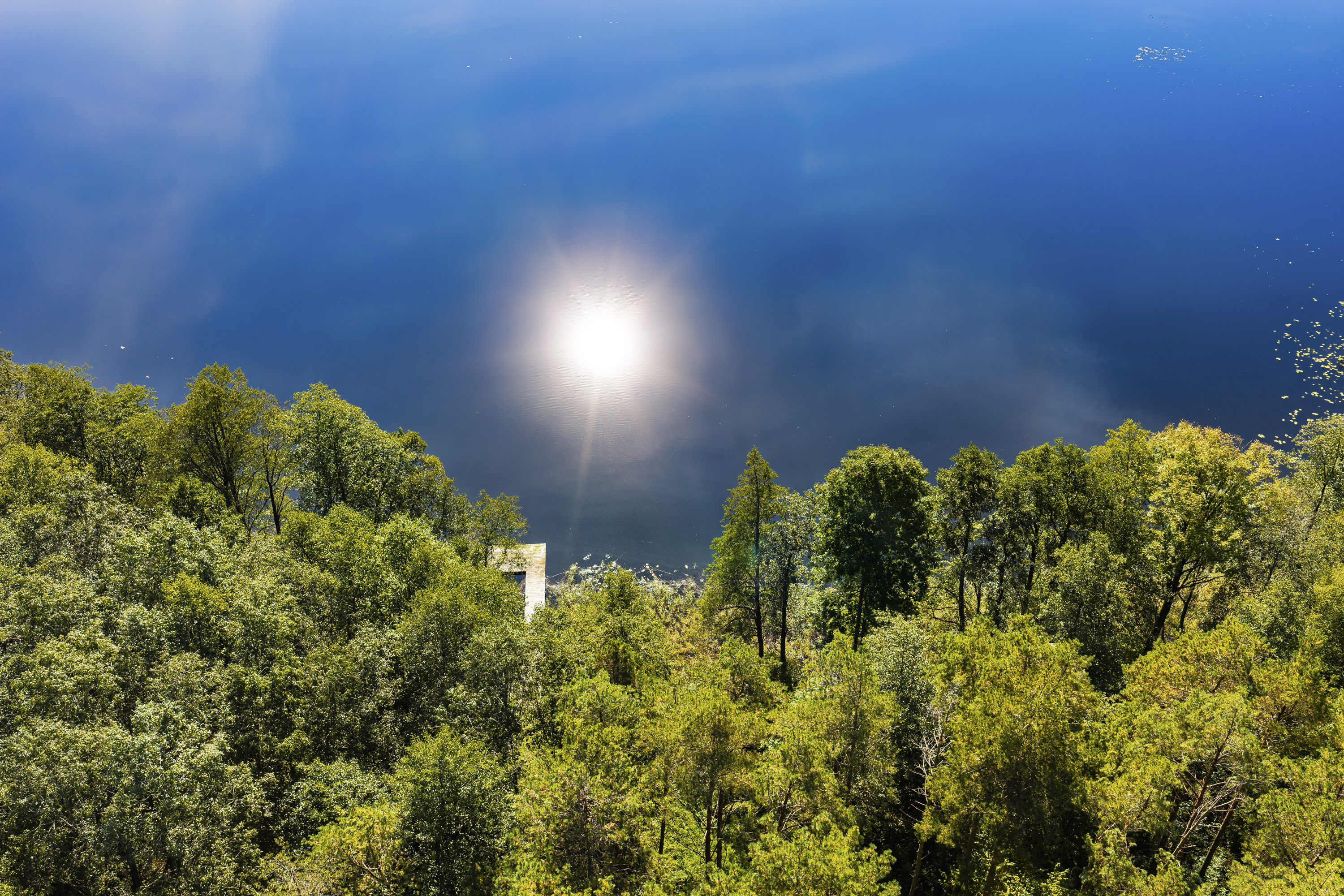  Your place by the lake, surrounded by forest - 物件實景