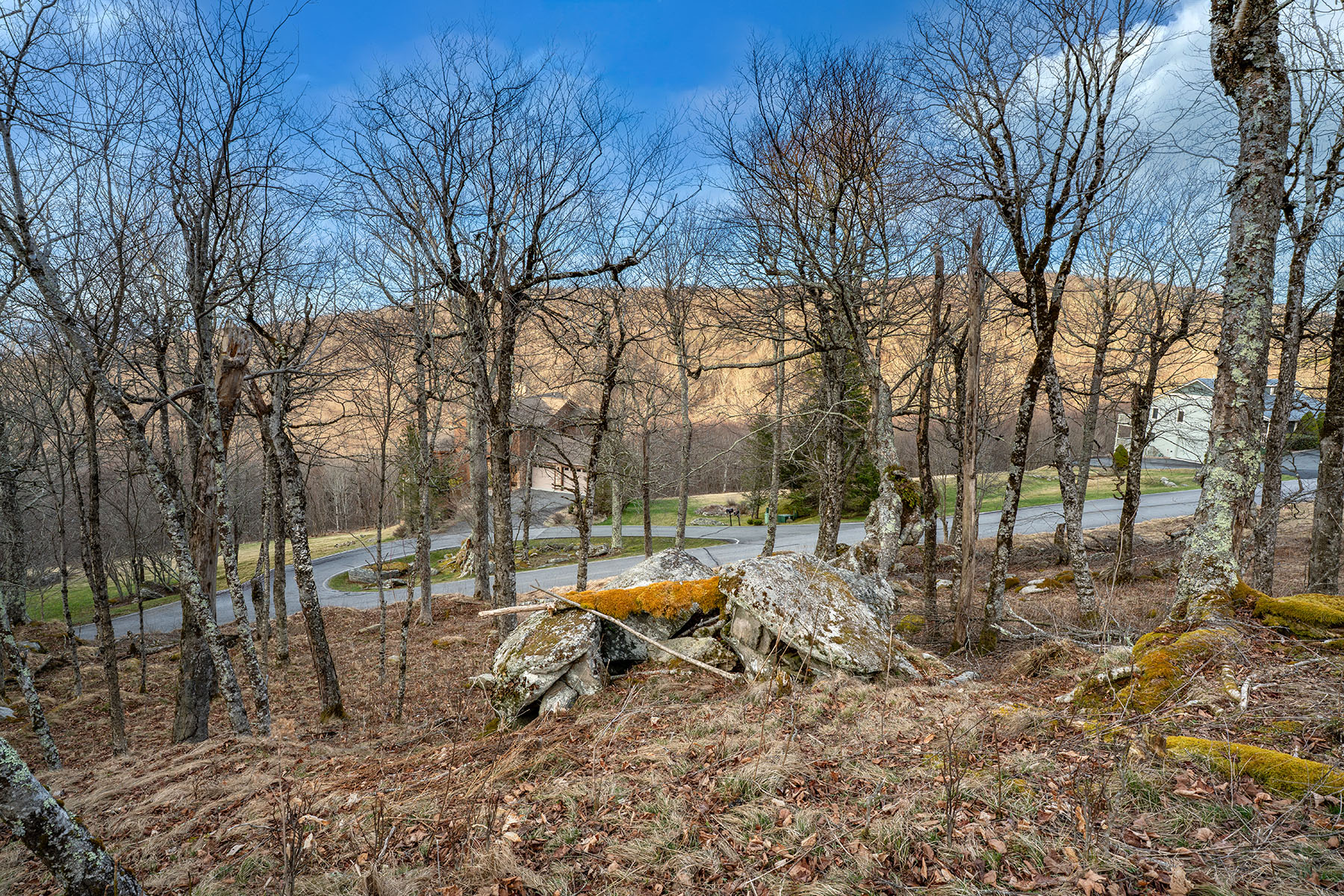  WOODLAND MEADOWS - BEECH MOUNTAIN - 物件實景